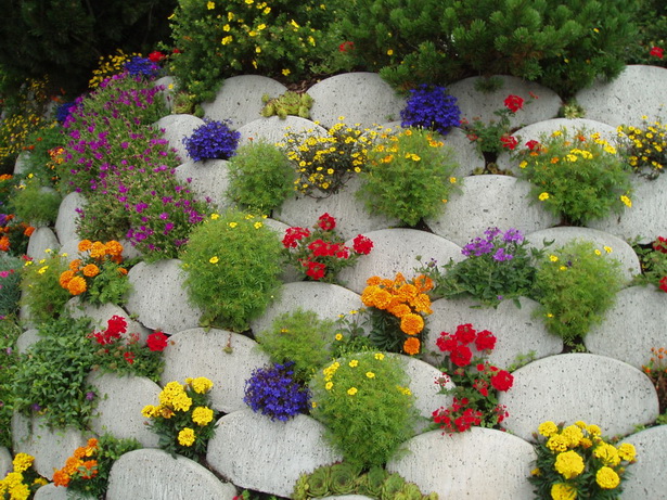 creating-a-rockery-in-your-garden-30_15 Създаване на алпинеум във вашата градина