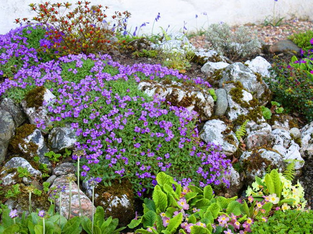 creating-a-rockery-in-your-garden-30_7 Създаване на алпинеум във вашата градина