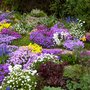 creating-a-rockery-in-your-garden-30_9 Създаване на алпинеум във вашата градина