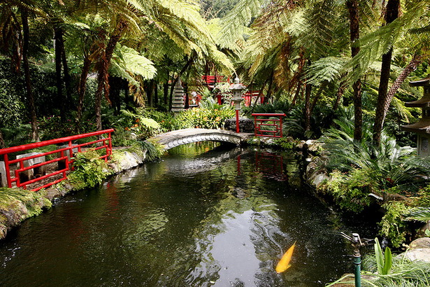 creating-a-tropical-garden-49_7 Създаване на тропическа градина