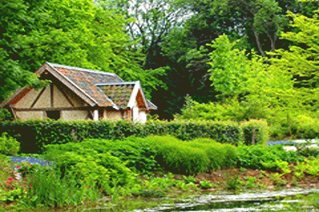 creating-an-english-cottage-garden-78 Създаване на английска градина