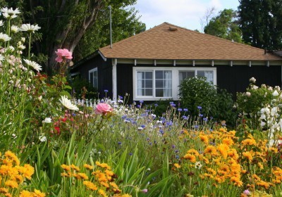 creating-an-english-cottage-garden-78 Създаване на английска градина