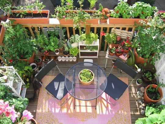 deck-garden-design-ideas-64_11 Палуба градински дизайн идеи