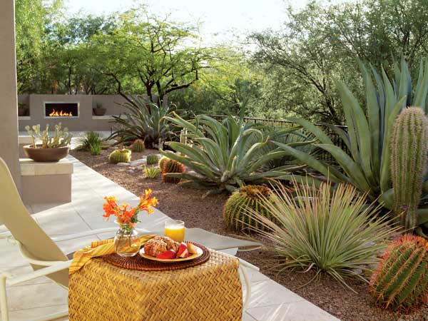desert-backyard-design-57_16 Дизайн на пустинен заден двор