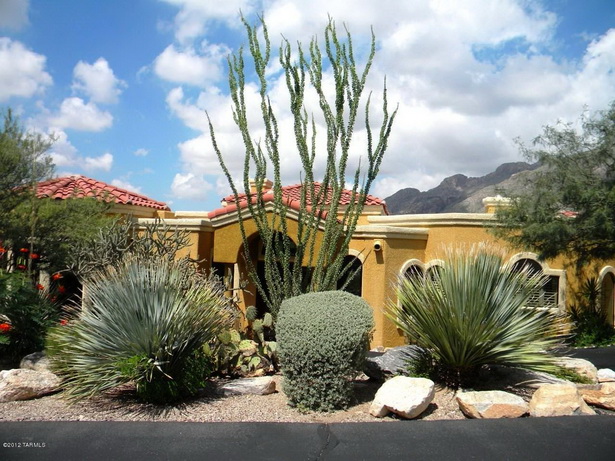 desert-front-yard-landscaping-ideas-16_15 Пустинен преден двор идеи за озеленяване