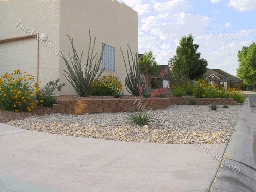 desert-front-yard-landscaping-ideas-16_16 Пустинен преден двор идеи за озеленяване