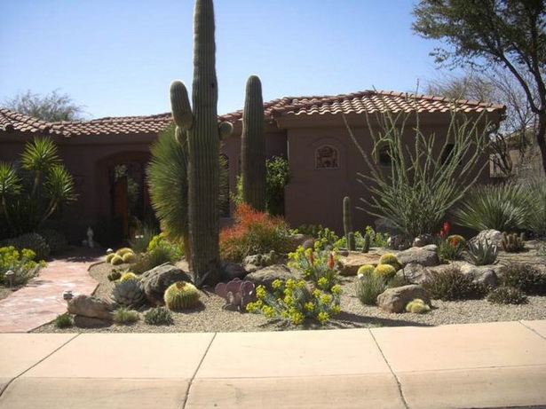 desert-front-yard-landscaping-ideas-16_2 Пустинен преден двор идеи за озеленяване