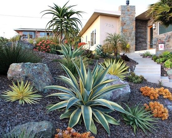 desert-front-yard-landscaping-ideas-16_9 Пустинен преден двор идеи за озеленяване
