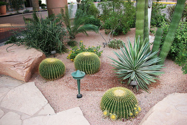 desert-garden-design-ideas-52_3 Идеи за дизайн на пустинна градина