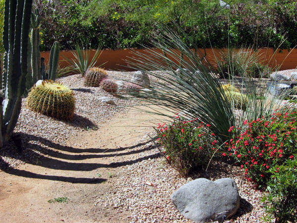 desert-garden-design-69_4 Пустинна градина дизайн