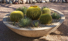 desert-garden-ideas-photos-44_15 Идеи за Пустинна градина снимки