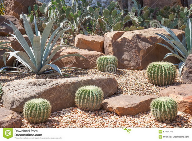 desert-garden-pictures-33_19 Пустиня градина снимки