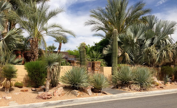 desert-landscape-design-palm-springs-96_14 Пустинен ландшафтен дизайн Палм Спрингс