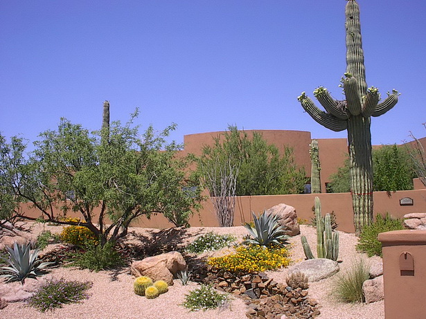 desert-landscape-design-56_12 Пустинен ландшафтен дизайн