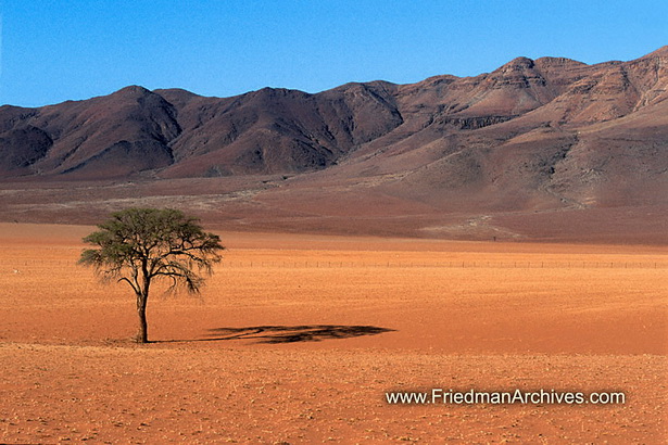 desert-landscape-pictures-24_18 Пустинен пейзаж снимки