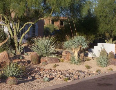 desert-landscapes-for-homes-29_11 Пустинни пейзажи за домове