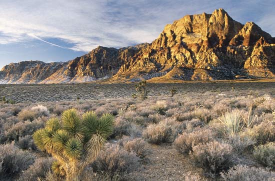desert-landscapes-of-las-vegas-62_17 Пустинни пейзажи от Лас Вегас