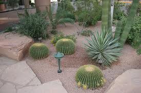 desert-landscaping-backyard-ideas-82_10 Идеи за пустинно озеленяване на задния двор