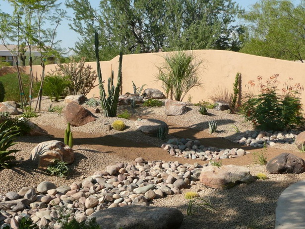 desert-landscaping-backyard-ideas-82_5 Идеи за пустинно озеленяване на задния двор