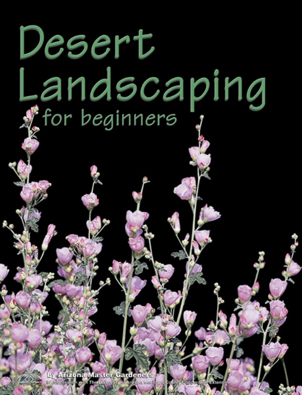 desert-landscaping-for-beginners-06_9 Пустинно озеленяване за начинаещи