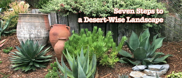 desert-plants-for-landscaping-48_4 Пустинни растения за озеленяване