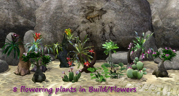 desert-plants-for-landscaping-48_9 Пустинни растения за озеленяване