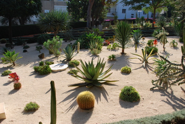 desert-plants-landscaping-ideas-15_15 Пустинни растения озеленяване идеи