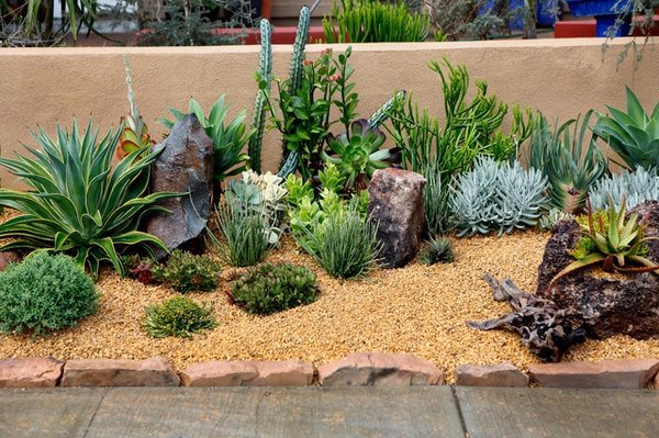 desert-plants-landscaping-ideas-15_18 Пустинни растения озеленяване идеи