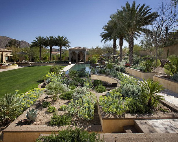 desert-plants-landscaping-ideas-15_19 Пустинни растения озеленяване идеи