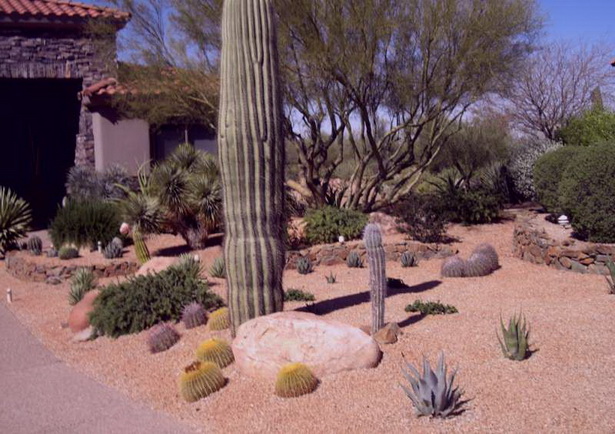 desert-plants-landscaping-ideas-15_8 Пустинни растения озеленяване идеи
