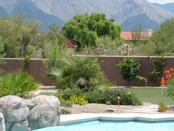 desert-pool-landscaping-ideas-48_17 Идеи за озеленяване на пустинен басейн