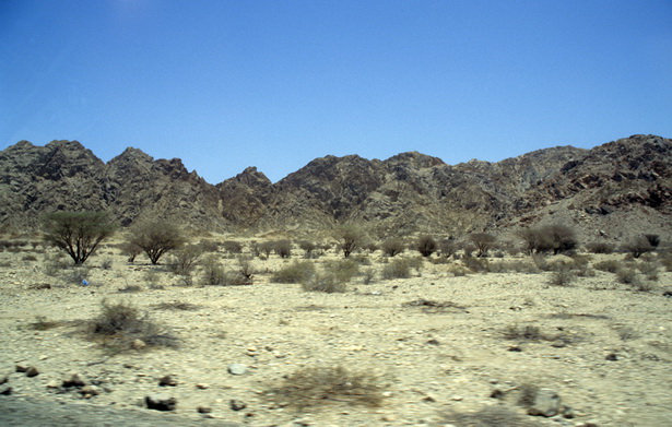 desert-scenery-71_11 Пустинен пейзаж