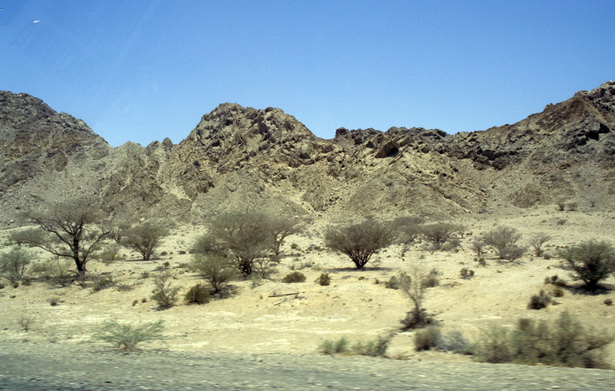 desert-scenery-71_14 Пустинен пейзаж