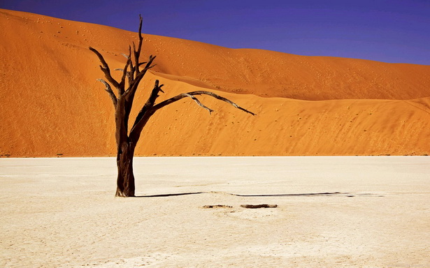 desert-scenery-71_17 Пустинен пейзаж