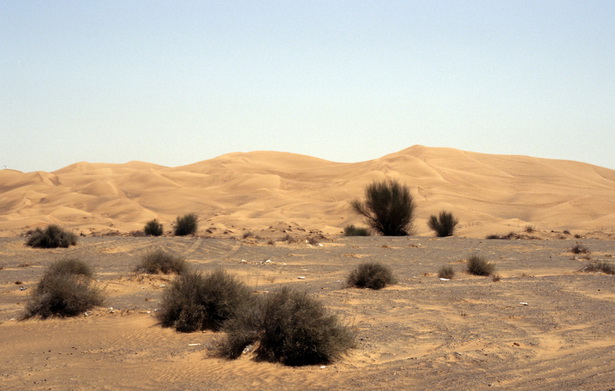 desert-scenery-71_3 Пустинен пейзаж