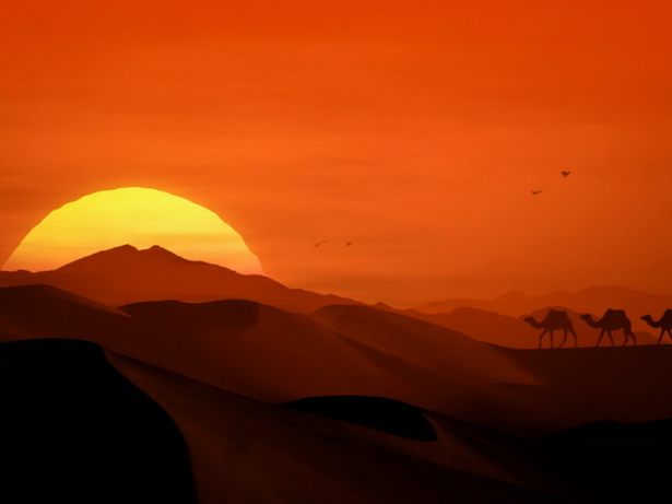 desert-scenery-71_7 Пустинен пейзаж