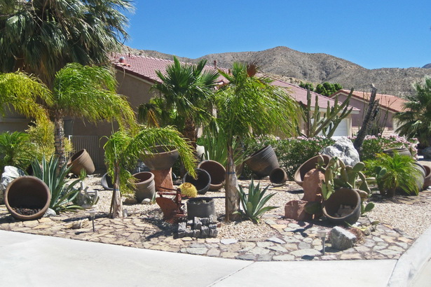 desert-yard-landscaping-03_10 Пустинен двор озеленяване