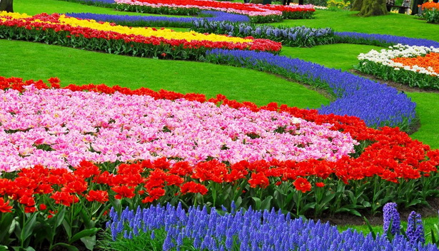 design-flower-garden-15_12 Дизайн цветна градина