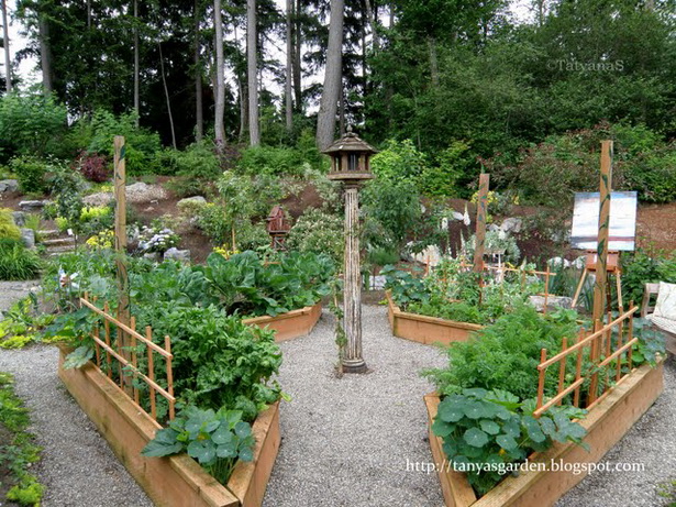 design-vegetable-garden-04_11 Дизайн зеленчукова градина