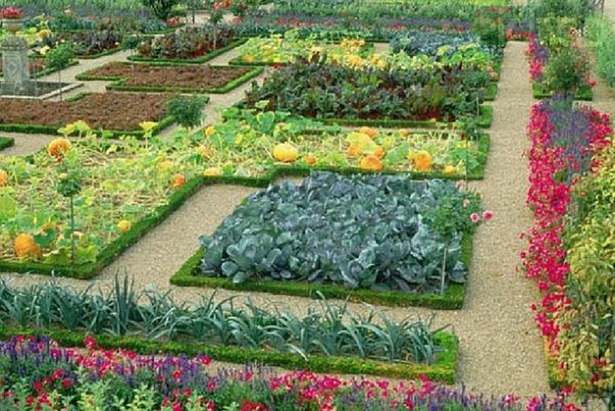 design-vegetable-garden-04_17 Дизайн зеленчукова градина