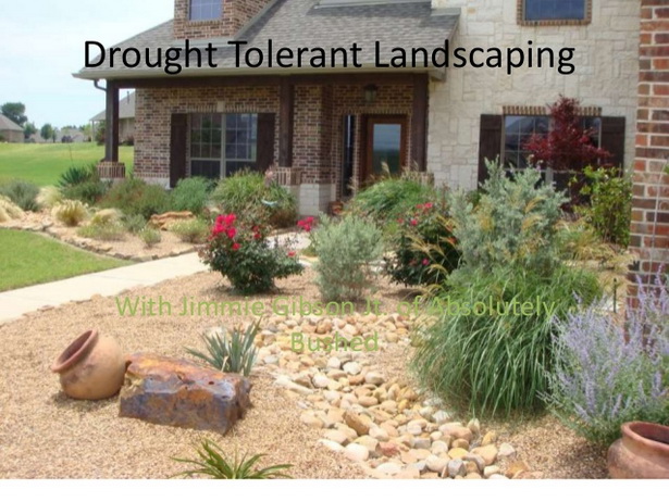 drought-landscape-design-79_10 Засушаване ландшафтен дизайн