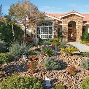 drought-tolerant-front-yard-landscaping-ideas-19 Устойчиви на суша идеи за озеленяване на предния двор