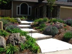 drought-tolerant-front-yard-landscaping-ideas-19_19 Устойчиви на суша идеи за озеленяване на предния двор