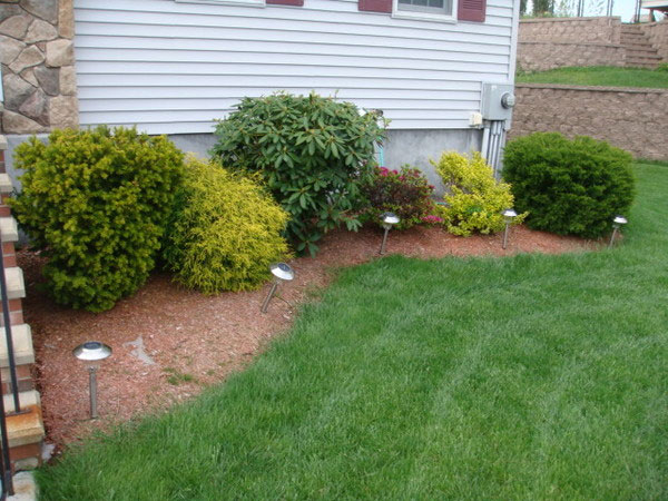 easy-backyard-landscaping-42_20 Лесно озеленяване на задния двор