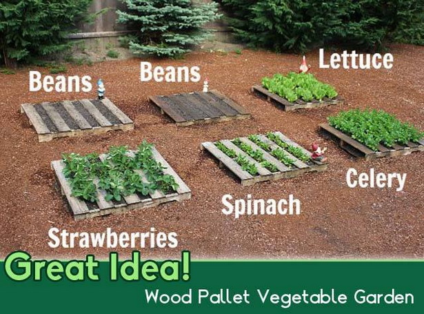 easy-vegetable-garden-ideas-94_16 Лесни идеи за зеленчукова градина