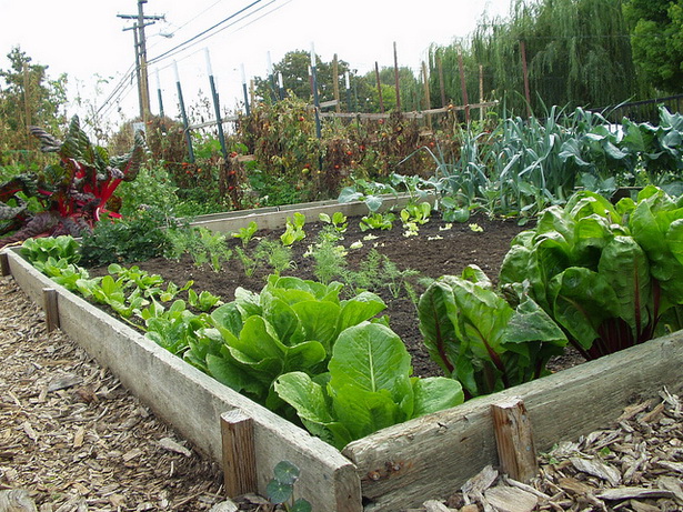 easy-vegetable-garden-ideas-94_2 Лесни идеи за зеленчукова градина