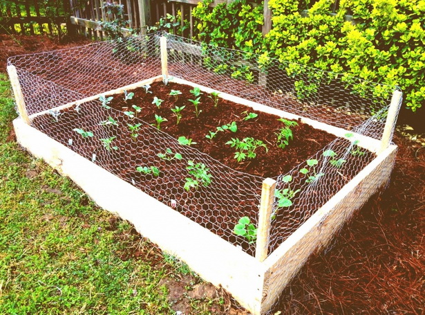 easy-vegetable-garden-ideas-94_4 Лесни идеи за зеленчукова градина