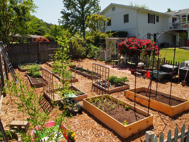 easy-vegetable-garden-ideas-94_6 Лесни идеи за зеленчукова градина