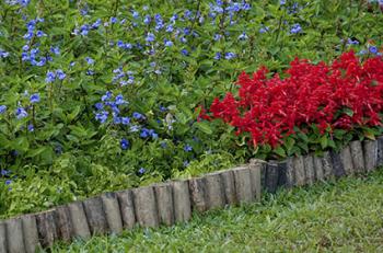 edging-for-flower-beds-47_4 Кант за цветни лехи