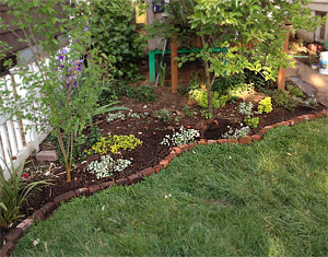 edging-for-gardens-25_8 Кант за градини